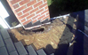 Exterior roof damage from rain and snow seepage from improperly installed chimney flashing.